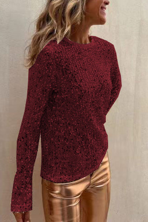 Sequined Mesh Long-Sleeved Slim-Fit Round Neck Top